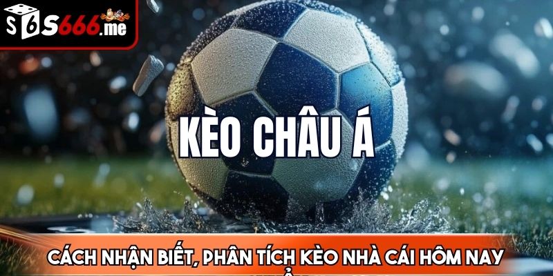 Kèo châu Á là 1 trong 3 loại phổ biến nhất với cược thủ tại nước ta