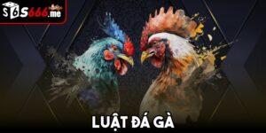 Luật đá gà