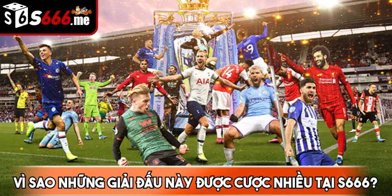 Vì sao những giải đấu này được cược nhiều tại S666?